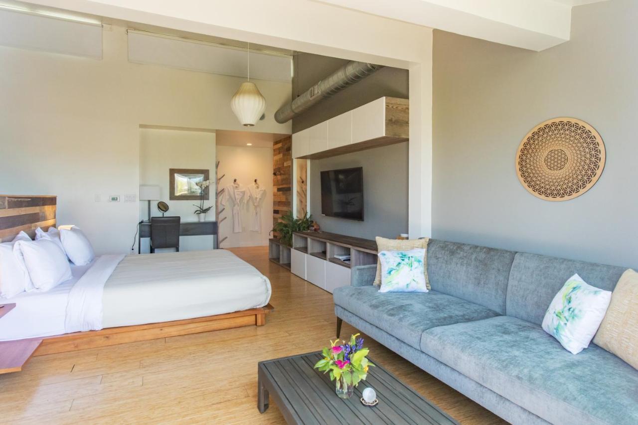 Inn At Moonlight Beach エンシニータス エクステリア 写真