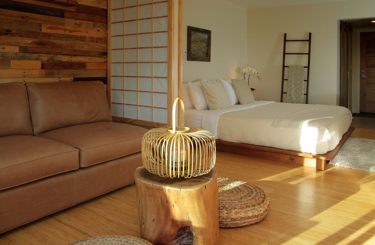 Inn At Moonlight Beach エンシニータス エクステリア 写真