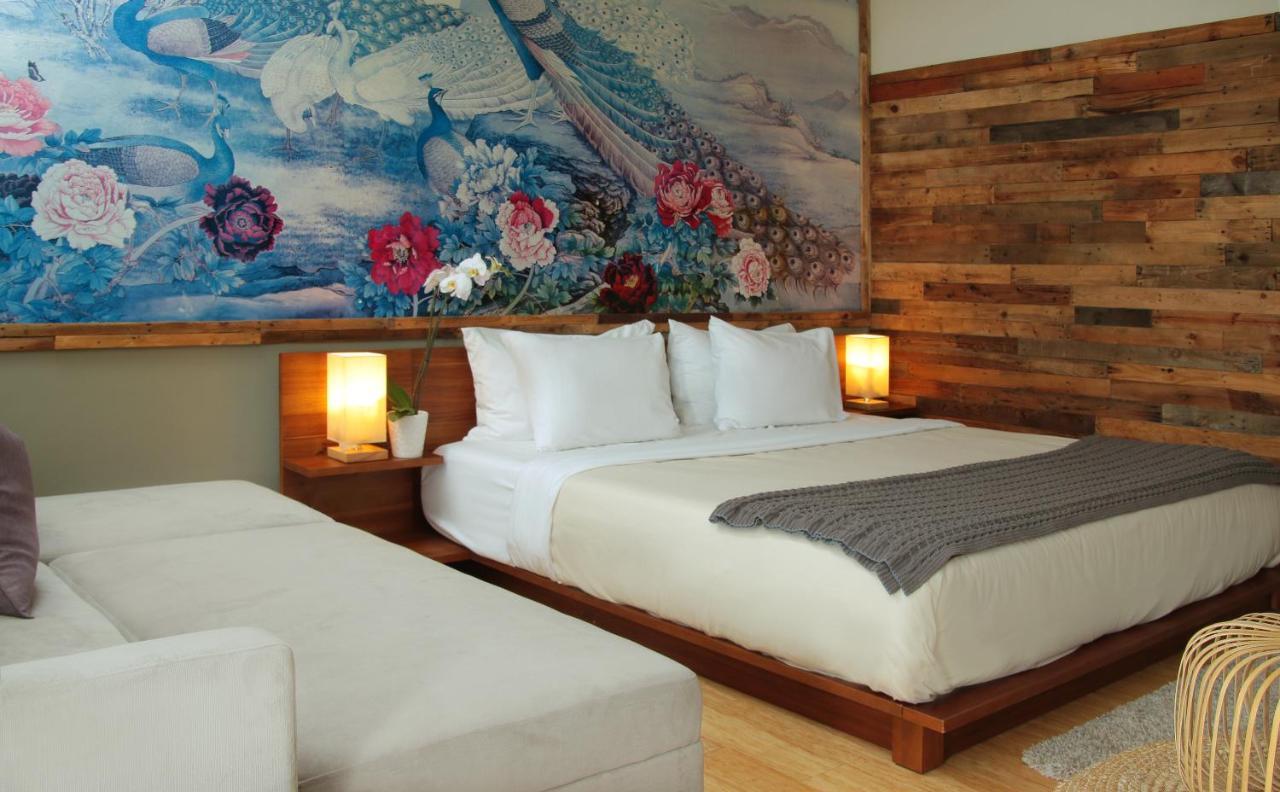 Inn At Moonlight Beach エンシニータス エクステリア 写真