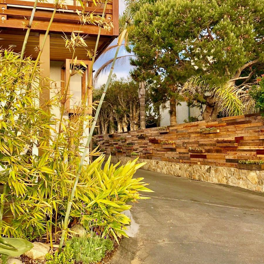 Inn At Moonlight Beach エンシニータス エクステリア 写真
