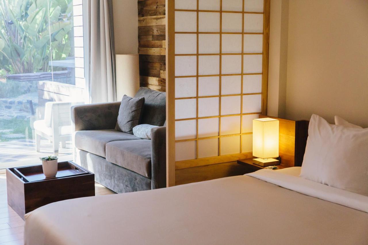 Inn At Moonlight Beach エンシニータス エクステリア 写真