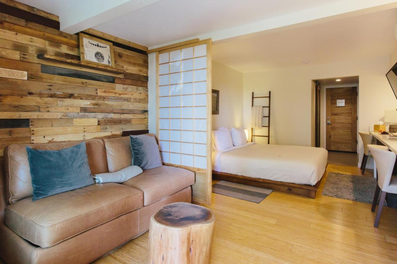Inn At Moonlight Beach エンシニータス エクステリア 写真